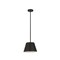Z-Lite Maddox 1 Light Chandelier, Matte Black 6013-12MB - alternate 7